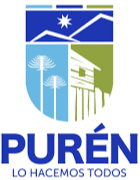 Logo Municipalidad Purén